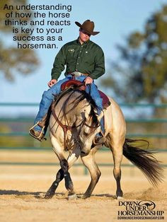 ... equestrian quotes downund horsemanship drag out hors quotes hors