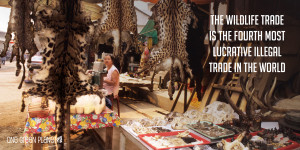 ... Facts About How the Illegal Wildlife Trade Drives Species Extinction