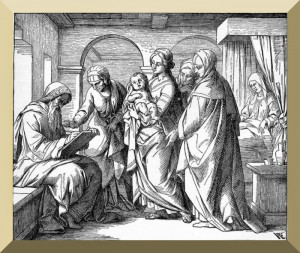 Catholic Mass Readings For Tuesday, June 24, 2014