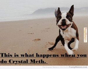Funny memes – [When you do Crystal Meth]