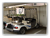 Police drive golf carts
