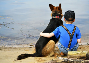 Dog And Boy Friendship | 2706 x 1920 | Download | Close