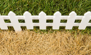 the grass is not in fact always greener on the other side of the fence ...