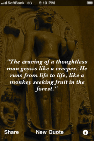 Tags : buddha , wisdom , quotes , buddha wisdom