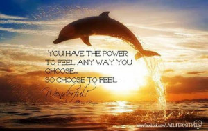 dolphin, inspiring quotes, positive thinking, wisdom, feel wonderful