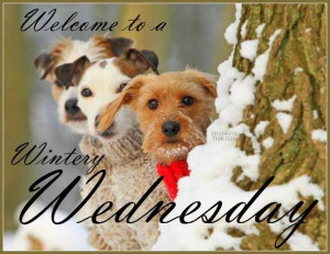 Welcome To A WIntery Wednesday