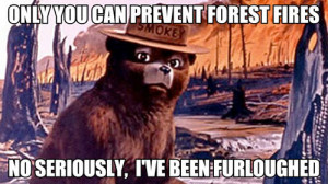 Smokey The Bear on the Government Shutdown – Only you can prevent ...