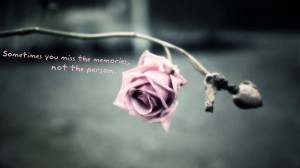Sometimes You Miss The Memories, Not The Person, Rose Pink Flower