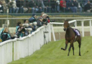 Re: Re: Horse leg break picture and links to amazing pictures.