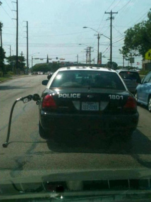 Dumb Cops