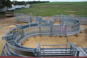 FREE On-Farm Cattle Yard Measure & Quote