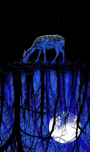 ... and dark begin to touch is where miracles arise. Robert A. Johnson