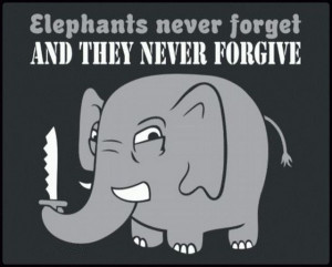 elephants, forget, forgive, funny