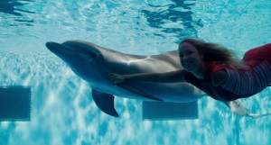 Dolphin Tale 2 Movie poster #10