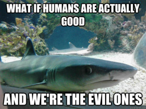 20 Funny Shark Week Memes You Cannot Miss