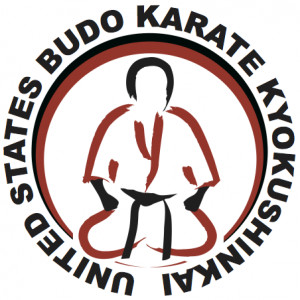 usa-budo-karate-kyokushinkai-patch