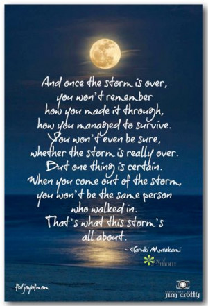 The Storm Is Over Quotes. QuotesGram