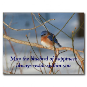 Bluebird Of Happiness Nature Postcard