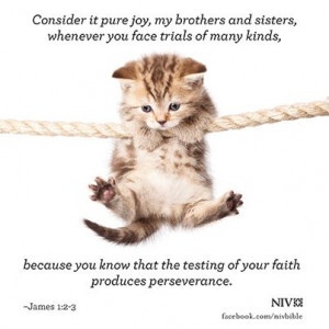 NIV Bible verse about trials and perseverance. James 1:2-3 #NIVBible