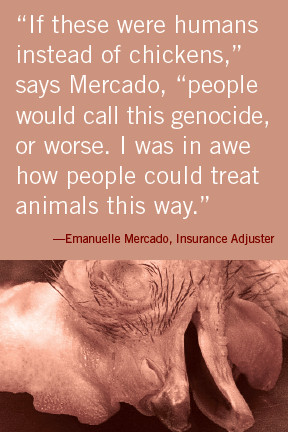 Former Poultry Farm Insurance Underwriter Speaks Out