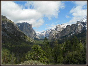 Quotes for Nature Lovers – John Muir