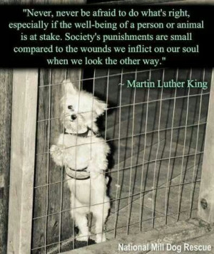 Dr. Martin was very smart!