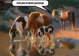 Funny Animals with Quotes .....ENJOY!!