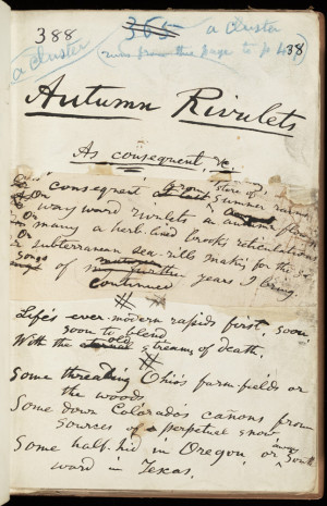 Walt Whitman Leaves Of Grass Poem 1855