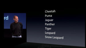 cat names cats musical