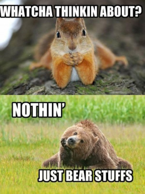 funny squirrel pictures with captions funny squirrel pictures with ...