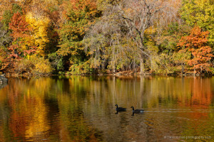 Funny Quotes Contact Dmca