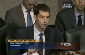 tom cotton