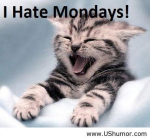 Tomorrow is monday US Humor - Funny pictures, Quotes, Pics, Photos ...