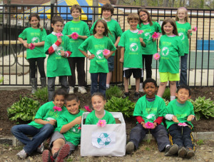 Go Green With These Great Green Slogans and Sayings