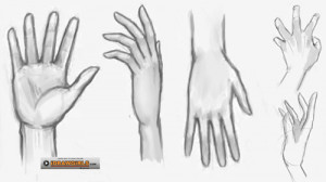 Drawings Of Hands Step By Step