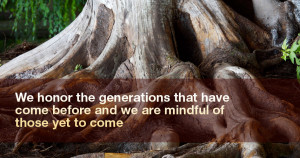 2008 Seven Generations Consulting Site Credits Jack & Ginger About Us ...