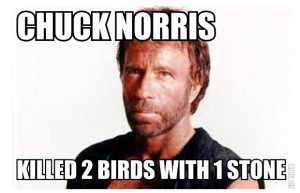 Meme Chuck Norris Jokes