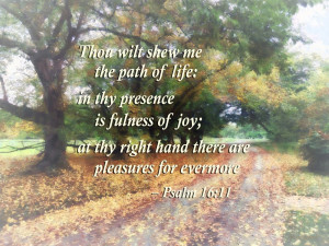psalm 16:11 thou wilt shew me the path of life, by susan savad