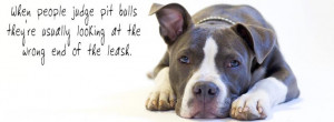 Save the Pitbulls and Rotweillers of Moreauville, Louisiana!