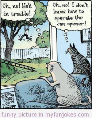 ... funny-jokes/funny-dog-an-cat-cartoon-jokes-for-kids/ #humor #prank #