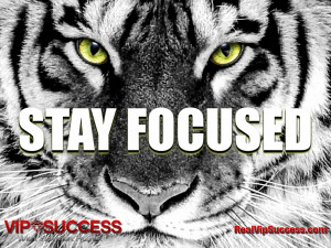 stay-focused-real-vip-success.jpg
