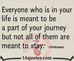 everyone is meant to be quotes