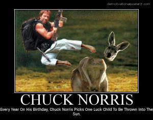 Chuck Norris Posters - motivational poster