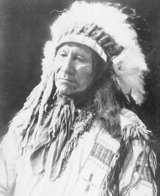 American Horse was a Sioux chief during the Lakota Wars of the 1860s ...