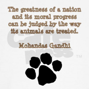 gandhi_animal_quote_maternity_tshirt.jpg?color=White&height=460&width ...