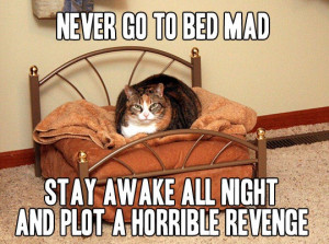 Never go to bed mad - Image