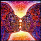Twin Flame and Soulmate Signs