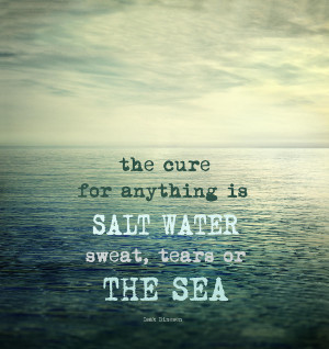 The Cure For Anything Is Salt Water Sweat Tears Or The Sea Photograph