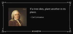 quote if a tree dies plant another in its place carl linnaeus 55 19 77