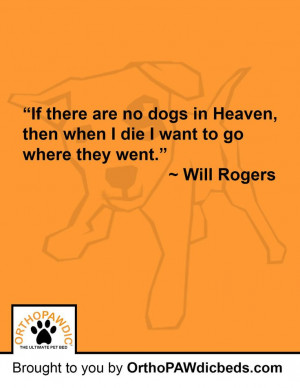 ... and...dogs. I really love this quote and agree 100%...by Eric Anderson